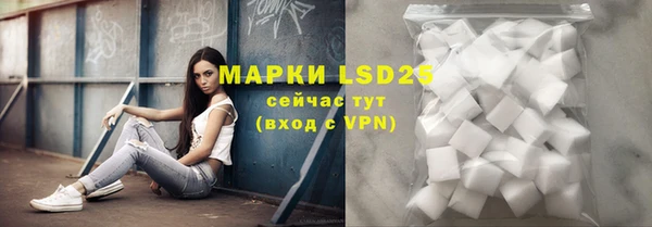 прущие грибы Белоозёрский
