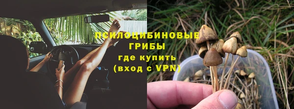 прущие грибы Белоозёрский