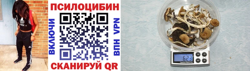 Галлюциногенные грибы Magic Shrooms  где можно купить наркотик  дарк нет наркотические препараты  Полесск 